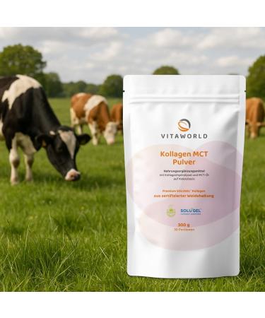 Vitaworld Poudre de collag ne MCT Grassfed 30 portions issue d'un levage de p turage certifi complexe de collag ne bioactif de qualit sup rieure solubilit optimale du collag ne - Buy Online on GoSupps.com