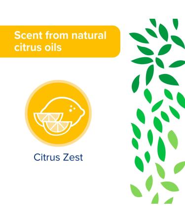 Buy Sun & Earth All Purpose Cleaner Wipes - Bulk Pack of 6 | 480 Plant-Based Natural Citrus Scent Wipes for Safe Household Cleaning - Buy Online on GoSupps.com