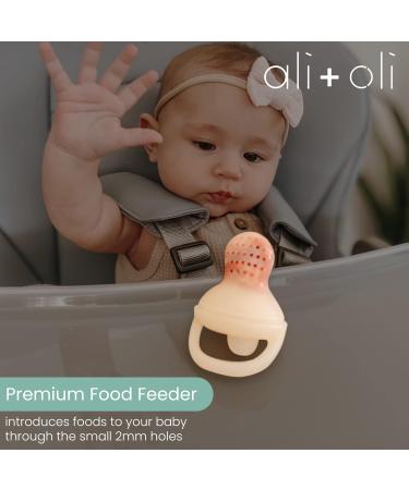Ali+Oli Food & Fruit Feeder Pacifier Set (Snow & Blush) - BPA-Free Silicone Teether for Babies - Buy Online on GoSupps.com