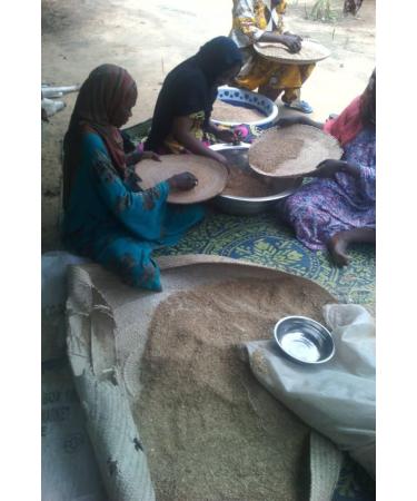 Pure Chebe Oil 235 (Chad) nourishing-moisturizing & growth of frizzy hair-250 ml - Buy Online on GoSupps.com