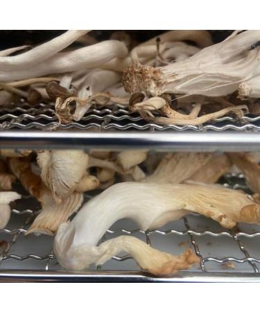King Oyster/ White Elf Shredded Gourmet Wild Dried Mushrooms (Pleurotus Cystidiosus) 40g The Lincolnshire Mushroom Co. - Buy Online on GoSupps.com