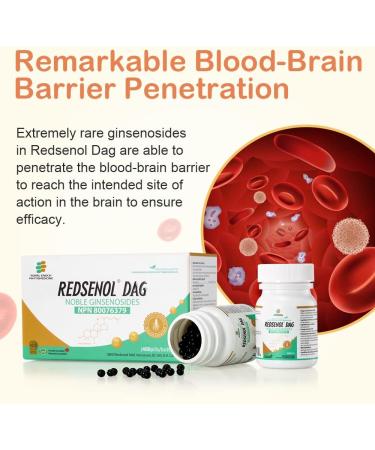 REDSENOL DAG Sublingual Pills-High-Potency Ginseng Extract - for Fast Absorption - Proprietary Formula with 8 Rare Ginsenosides Rk1 Rh3 Rk2-480 Pills - Buy Online on GoSupps.com