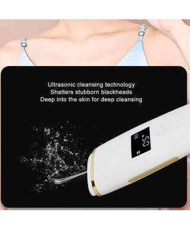 Face Skin Spatula - Blackhead Remover & Pore Washing Tool with LED Display - Buy Online on GoSupps.com