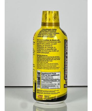 Mammoth L-Carnitine 1500 Vegetarian Caffeine Free Gluten Free (Blue Razz Slushie) - Buy Online on GoSupps.com