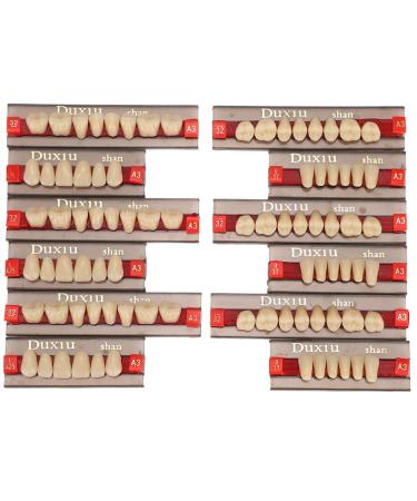 Buy Complete Resin Dentures | High-Quality Artificial Teeth & Dental Supplies for International Shipping - Buy Online on GoSupps.com