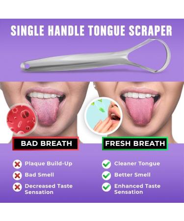 Buy Broshin Set of 2 Stainless Steel Tongue Scrapers | Antibacterial Tongue Cleaning & Bad Breath Reduction | Includes Travel Cases - International Shipping - Buy Online on GoSupps.com
