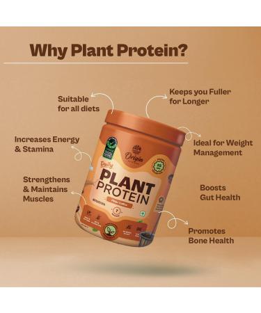 Ori gin Nutrition 100% Natural Vegan Plant Protein Powder Easy to Digest Filter Coffee Flavour with 25g Plant Based Protein Gluten Free Dairy Free No Added Sugar Soy Free Non -GMO Jain 7 Servings 284g - Buy Online on GoSupps.com