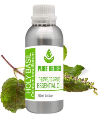 Pure Herbs Holi Basil Oil (OCIMUM Sanctum) - 250ml | 100% Natural Therapeutic Oil for Wellness - Buy Online on GoSupps.com