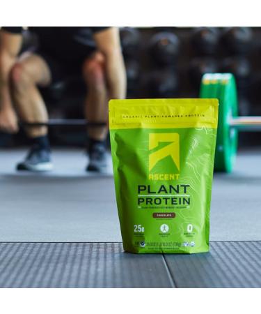 Ascent Organic Plant Based Protein Powder - Dairy Free Vegan, Soy & Gluten Free, No Added Sugar, Chocolate Flavor - 18 Servings, 40 Servings - Buy Online on GoSupps.com