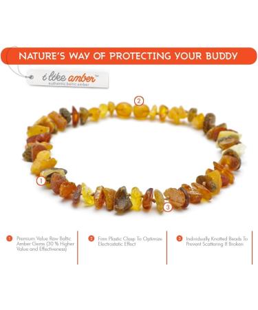 100% Baltic Amber Dog Necklace | Tick Protection for Cats & Dogs | Eco-Friendly Dog Collar - 24 - Buy Online on GoSupps.com