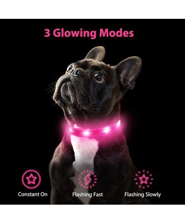 PCEOTLLAR Luminous Dog Collar - Adjustable LED Light Reflective Band for Small Medium & Large Dogs - Pink XS (25-32cm) - Buy Online on GoSupps.com