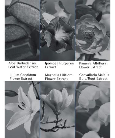 PS.PRETTYSKIN Love Romantic Solid Perfume 1.18fl.oz.(35ml) Cream Type Shea Butter Woody scent Portable Perfume Easy to Carry (Unisex) - Buy Online on GoSupps.com