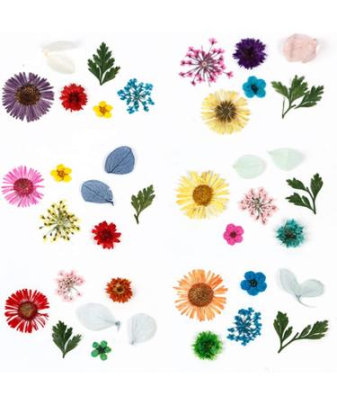 Dry Flower Nail Art Real Flowers for Nails 3D Nails Stickers with Nature Dry Flowers in Mix and Match - Buy Online on GoSupps.com