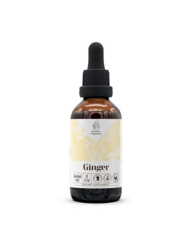 Ginger Alcohol-Free Natural Tincture Extract, Immune System Booster, Liquid Drops Made from 100% Ginger (Zingiber officinale) Dried Root (2 fl oz) 2 Fl Oz (Pack of 1)