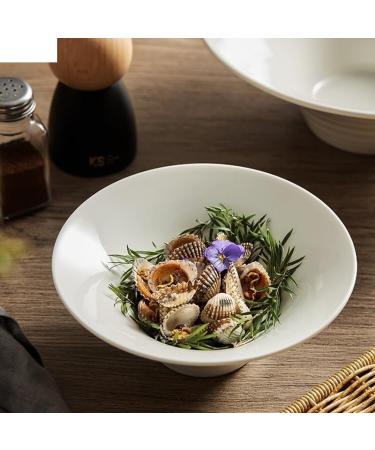 Porcelain Dinner Plates Ceramic Dinner Bowl Fruit Salad Bowl Tableware Bread Dessert Pastry Plate Restaurant Ramen Pasta Seafood Plate Soup Basin Kitchen Dinner Plates(10 inch) (10 inch One Size) - Buy Online on GoSupps.com