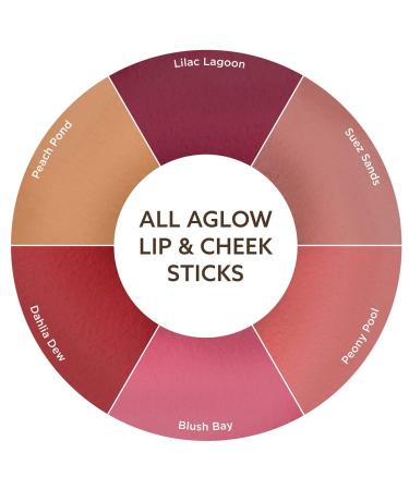 Burt's Bees Peach Pond All Aglow Lip & Cheek Stick 0.32 OZ - Natural Peachy Glow for Lips and Cheeks - Buy Online on GoSupps.com