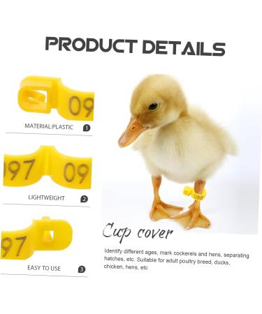 Yardwe 100pcs Poultry Marking Ring Farm Marker Tools Pigeons Ring Bands Ankle Pigeon Ring Lettering 3x1.8cm Yellow - Buy Online on GoSupps.com