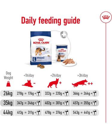 Royan Canin Dog Food No. 26 Maxi Nutrition Adult Biscuits for Large Dogs 10 kg - Buy Online on GoSupps.com