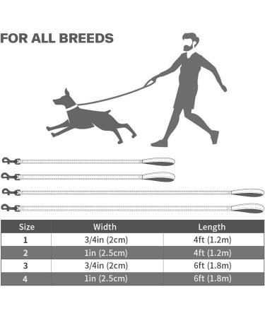 Taglory Reflective Dog Leash for Medium & Large Dogs - Padded Handle Supports 10-75kg 1.2m x 2.5cm Himmel Blue - Perfect for International Shipping - Buy Online on GoSupps.com