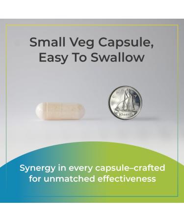Synergy Holistics | Probiotics Synergy - Supports Digestion Bloating & IBS Relief - Clinically Validated DDS1 Lactobacillus Acidophilus & UABla-12 Probiotic Supplement Superstrains - No Refrigeration - 2 Veg Caps Daily - 120 Capsules - Buy Online on GoSupps.com