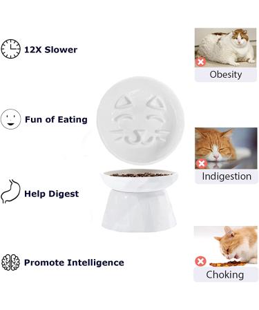 Kopmath Ceramic Raised Cat Slow Feeder - Healthy Eating for Wet & Dry Food | Sturdy & Grippy Pet Puzzle Plate | Prevent Vomiting & Indigestion | Dishwasher Safe (White) - Buy Online on GoSupps.com