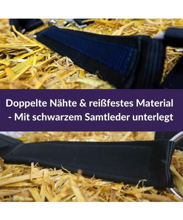 Buy Halfer XXFull Cold Blood Horse Halter - Adjustable 2 Compartment Halters in Black & Blue for Stable Use - Buy Online on GoSupps.com