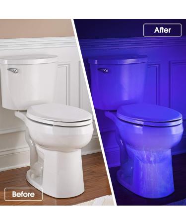 Fulighture UV Torch 2 Pack Pets Black Light 3 Modes Lights 395nm Dogs/Cats Urine Detector Ultraviolet Flashlight Find Dry Stains on Carpets/Rugs/Floor Operated by AA Batteries (Not Included) - Buy Online on GoSupps.com