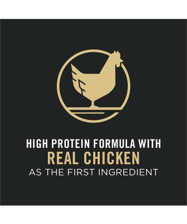 Purina Pro Plan High Protein Dry Kitten Food - Chicken & Rice 7 lb Bag - Buy Online on GoSupps.com