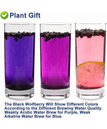 Flower 2 (100G-Black Wolfberry) - Buy Online on GoSupps.com