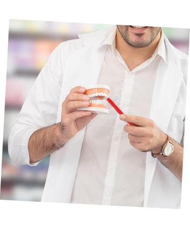 Vintorky 4-Piece Travel Toothbrush Set - Double-Sided Prosthesis Brushes for Braces - Ideal for International Shipping - Buy Online on GoSupps.com