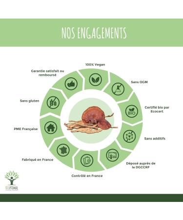 BIOPTIMAL - Organic Reishi - Superfood - Pure Reishi Powder - Cholesterol Immunity Circulation - Protein Fibers - China Origin - Packaged in France - Vegan - Buy Online on GoSupps.com