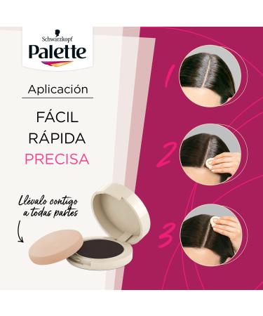 Schwarzkopf Palette Compact Root Retouch Powder - Chestnut Brown Up to 30 Applications for Gray Coverage | Temporary Hair Color Solution - Buy Online on GoSupps.com