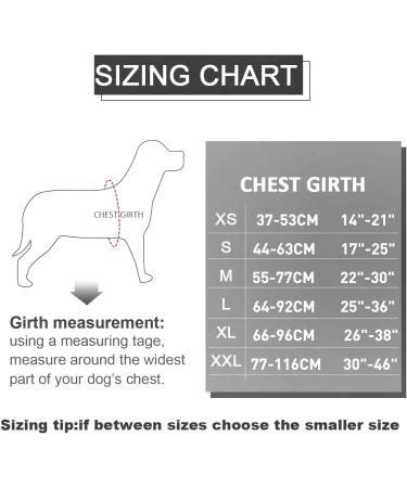 Moonpet Personalized No Pull Dog Harness Leash Set with Custom Name and Phone Number Heavy Duty Pet Vest to Prevent Tugging Pulling or Choking Training and Walking (XS-XXL 9 Colorful) 6 color - Buy Online on GoSupps.com