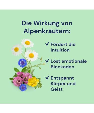Spitzner Sauna Infusion Alpine Herbs 1 Litre - Premium Aromatherapy for Relaxation | International Shipping Available - Buy Online on GoSupps.com