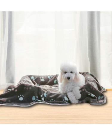 Allisandro Extra Soft Microplush Fleece Pet Blanket - Grey - 39 x 31 - Ideal for Dogs, Cats - Extra Softness for Small, Medium, Large Pets - Buy Online on GoSupps.com