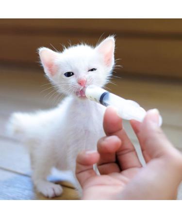Buy Baby Bird Feeding Syringe - 1 Piece Dispenser with 20 Sterile Hoses for Small Animals Kittens & Puppies - Ideal for Scientific & Industrial Labs - Buy Online on GoSupps.com