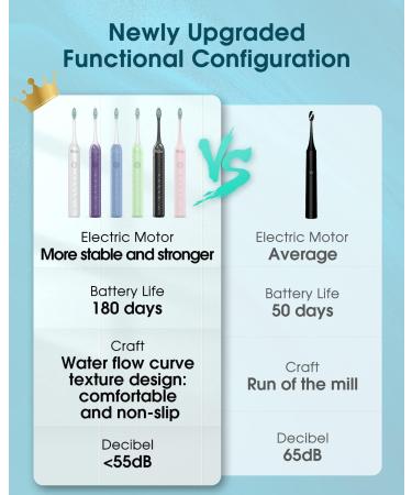 Sonic Electric Toothbrush for Adults - 6 Brush Heads, Holder, Travel Case, Type C Cable - Blue (1 Count) - Buy Online on GoSupps.com