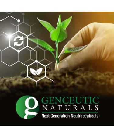 Genceutic Naturals Banana Plant Head Protein Powder - 1.8 lb | Vegan & Nutrient-Dense - Buy Online on GoSupps.com