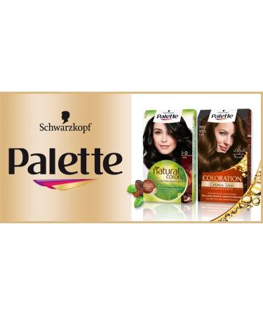 Schwarzkopf - Palette - Permanent Hair Color - Hair Lightener Cream Treatment - Covers 100% of White Hair - Lasts 8 weeks - Natural Light Blonde 200 - Buy Online on GoSupps.com