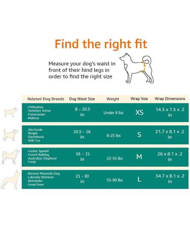 Amazon Basics Male Dog Wrap Disposable Diapers Medium - Pack of 30 - Buy Online on GoSupps.com