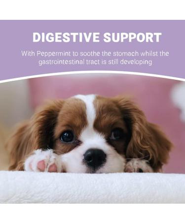 Pets Purest Life Drops for Puppies 10ml - Natural Puppy Gut Health & Energy Booster for Organ Development & Digestive Support - Buy Online on GoSupps.com