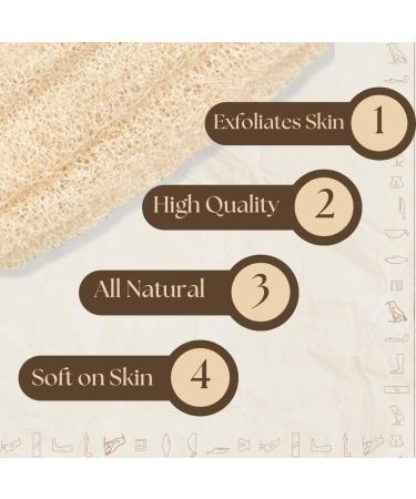 One Whole Egyptian Loofah 100% Natural SPA Beauty Bath Sponge Body Scrubber Puff. Premium Quality Lofa Loofa Luffa Loffa for exfoliating Your Skin. - Buy Online on GoSupps.com