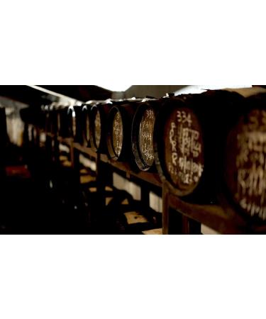 Historical Collection - Balsamic Vinegar of Modena - 4 Gold Medals "Fourth Centenary" - Champagnottina with Cardboard - 100 ml - Buy Online on GoSupps.com