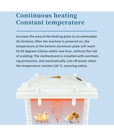PAIDUOJI Chick Brooder Heater with Feeder & Drinker - Height Adjustable Brood Plate for Optimal Chick Care - Buy Online on GoSupps.com