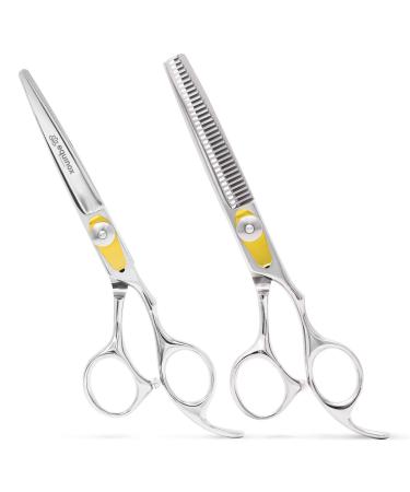 Equinox Professional Razor Edge Series Hair Cutting Scissors Set - Barber Hair Cutting & Thinning Shears/Texturizing Scissors Set - 6.5 Inches Hair Cutting Scissors Kit for Men/Women/Kids/Salon & Home Silver