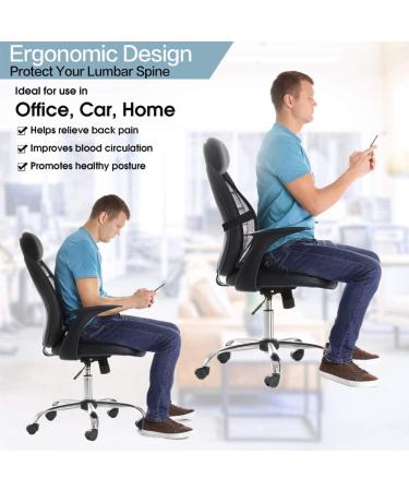 Bangled Lumbar Support - Double Breathable Mesh Car and Office Chair Back Support (Black 2 Pack) - Buy Online on GoSupps.com