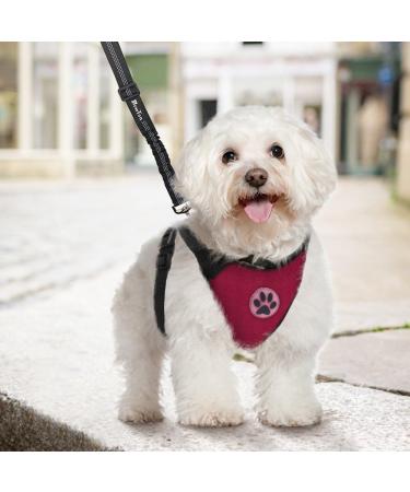 Slowton Dog Harness for Small & Medium Dogs - No Pull Safety Soft Padded Breathable Design - Buy Online on GoSupps.com