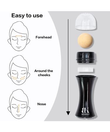 Oil-Absorbing Volcanic Roller with Replaceable Balls | On-the-Go Oil Control Tool for Instant Shine Removal - Buy Online on GoSupps.com