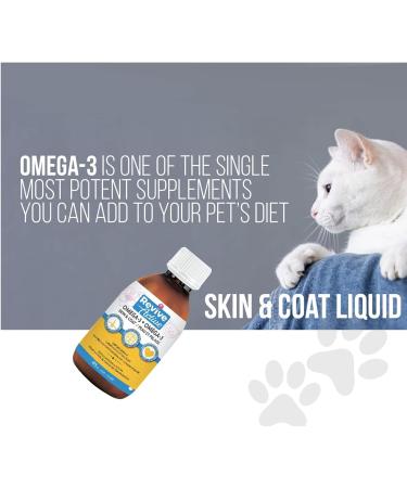 Revive Active - Omega 3 Liquids for Dogs and Cats 473ml Skin and Coat Supplement - Promotes Cognative Health Maintain Well Being -Supports Renal and Cardiovascular Funtions. - Buy Online on GoSupps.com