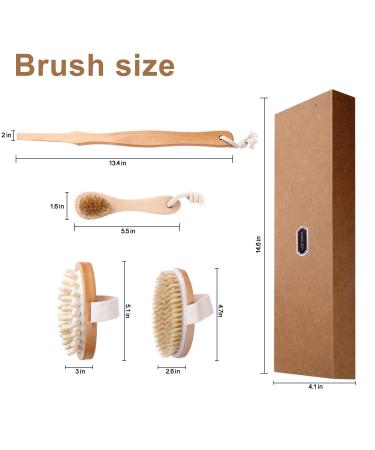 Dry Brush Body Brush Set - Exfoliating & Lymphatic Drainage - Natural Bristles - Long Handle - for Dry Skin - Face, Back, Bath, Fat Massager - Buy Online on GoSupps.com